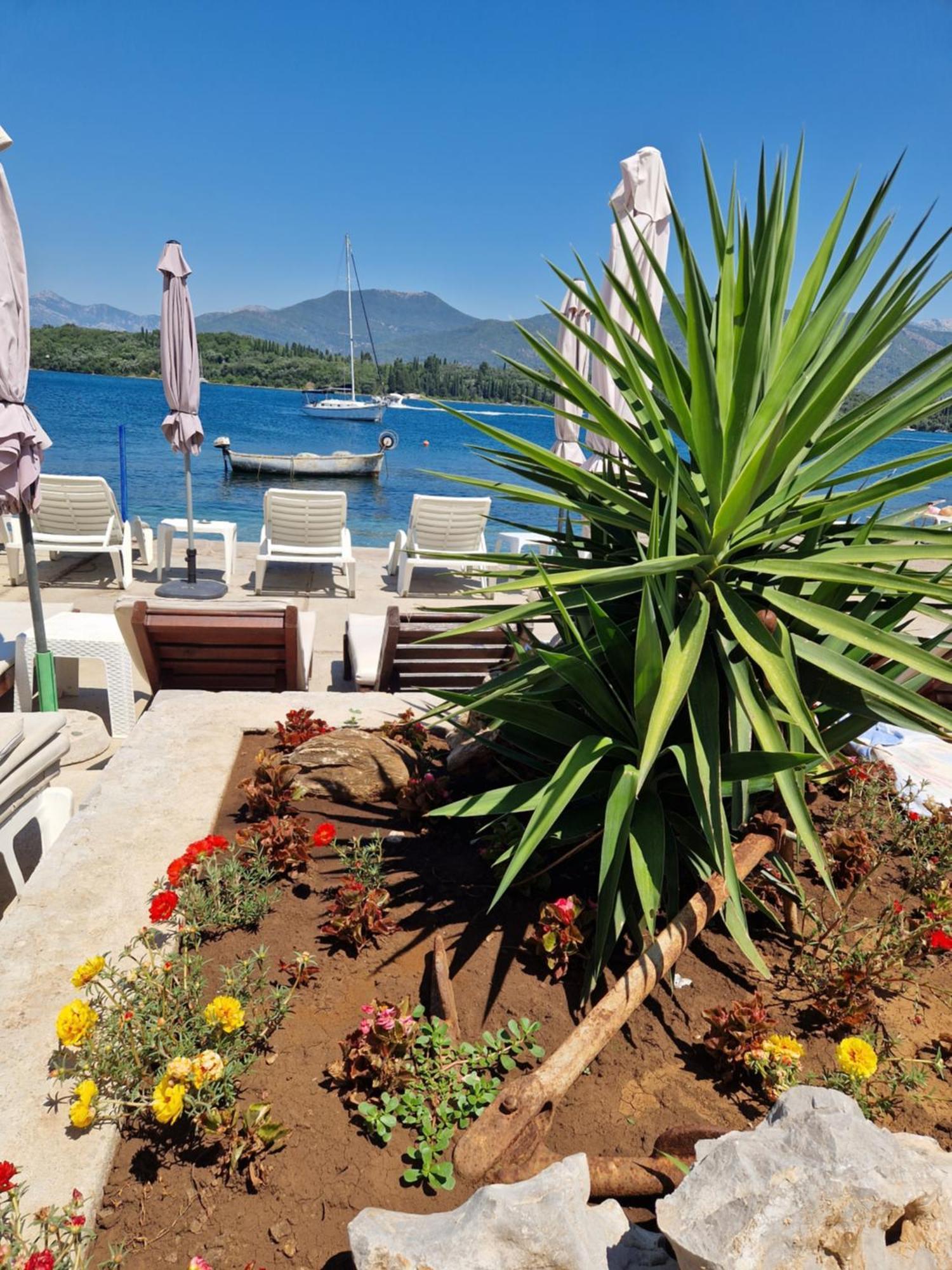 Franovic Apartments Tivat Buitenkant foto